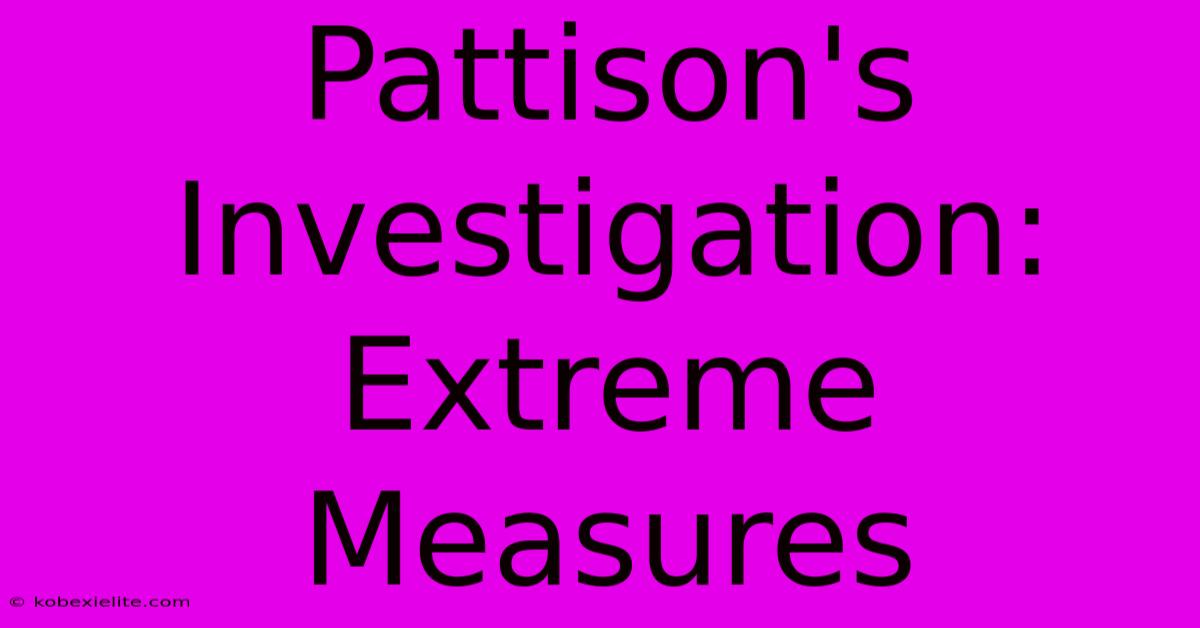 Pattison's Investigation: Extreme Measures