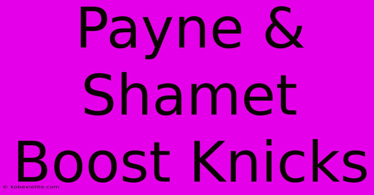 Payne & Shamet Boost Knicks