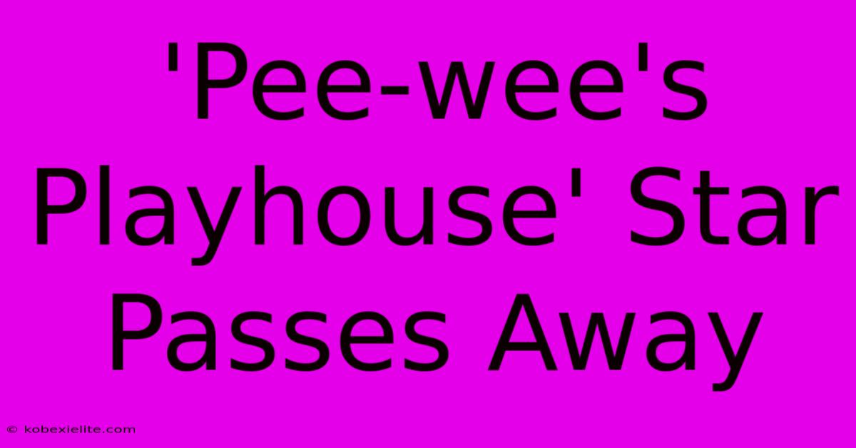 'Pee-wee's Playhouse' Star Passes Away