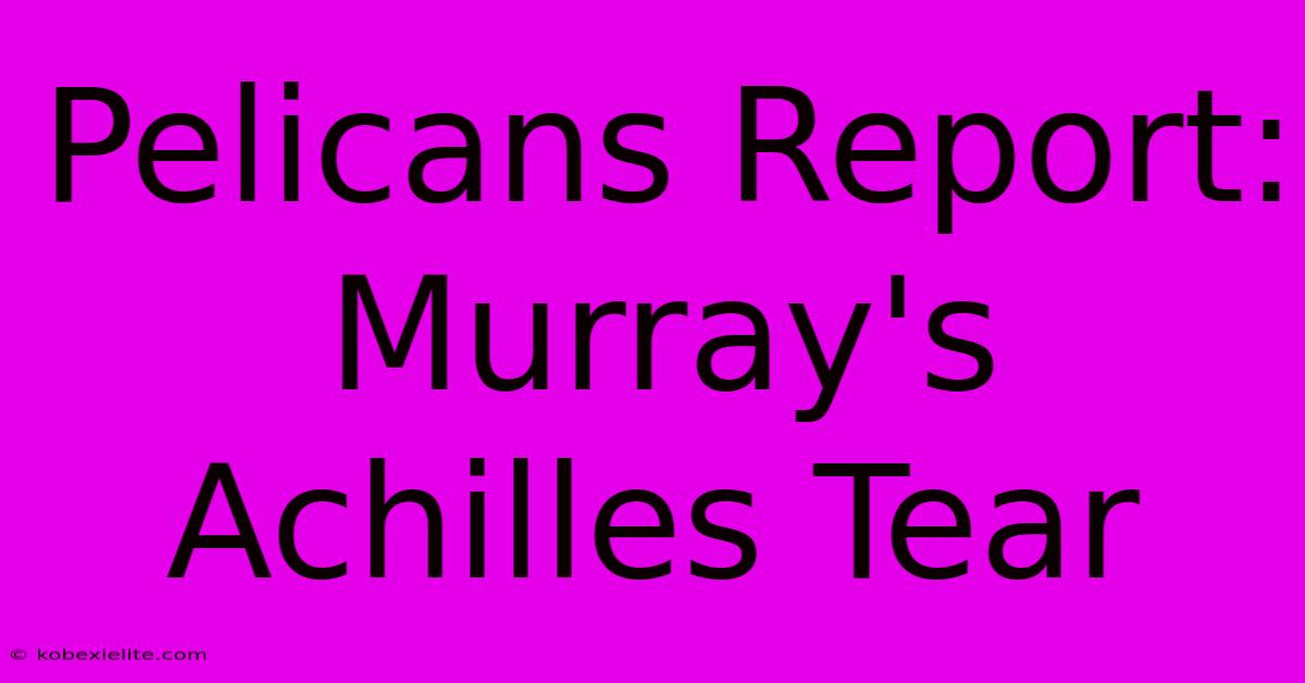 Pelicans Report: Murray's Achilles Tear