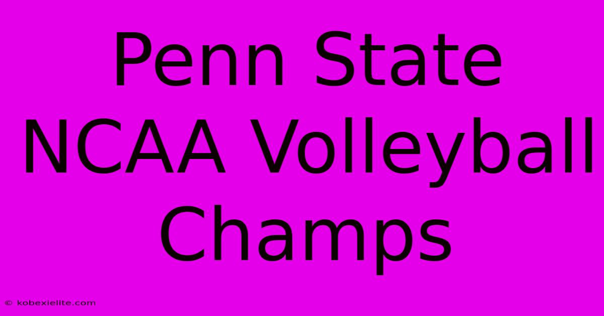 Penn State NCAA Volleyball Champs