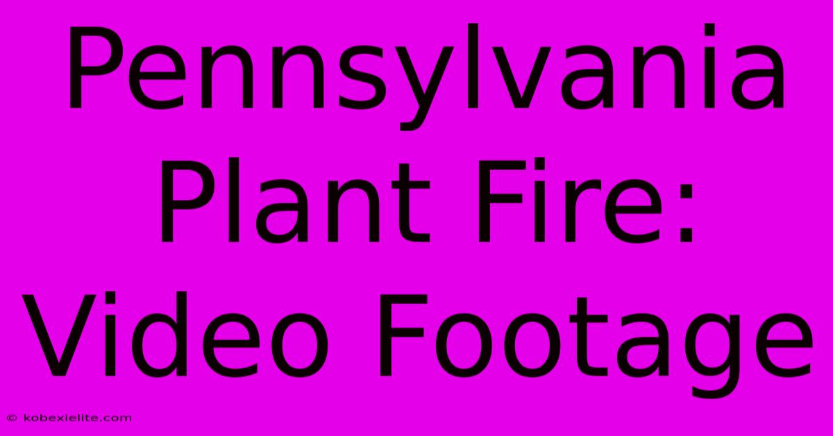 Pennsylvania Plant Fire: Video Footage