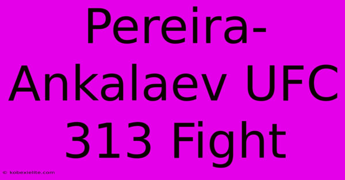 Pereira-Ankalaev UFC 313 Fight