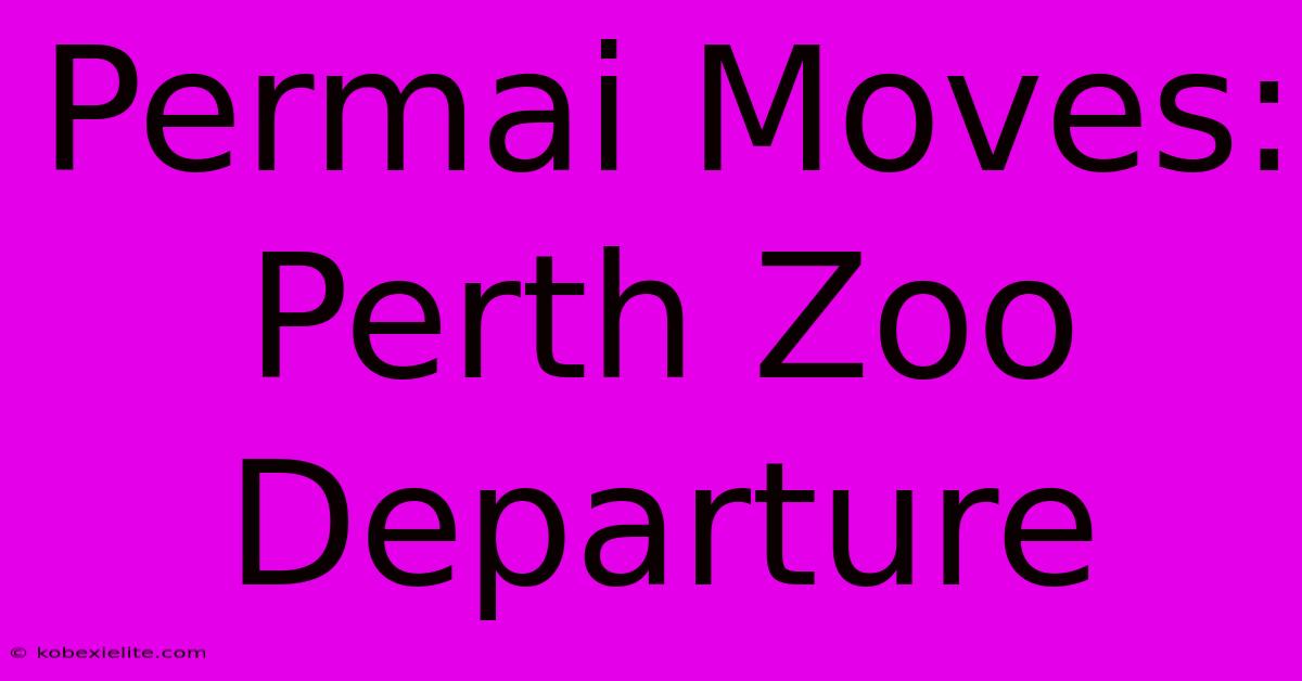 Permai Moves: Perth Zoo Departure Permai Moves: Perth Zoo Departure