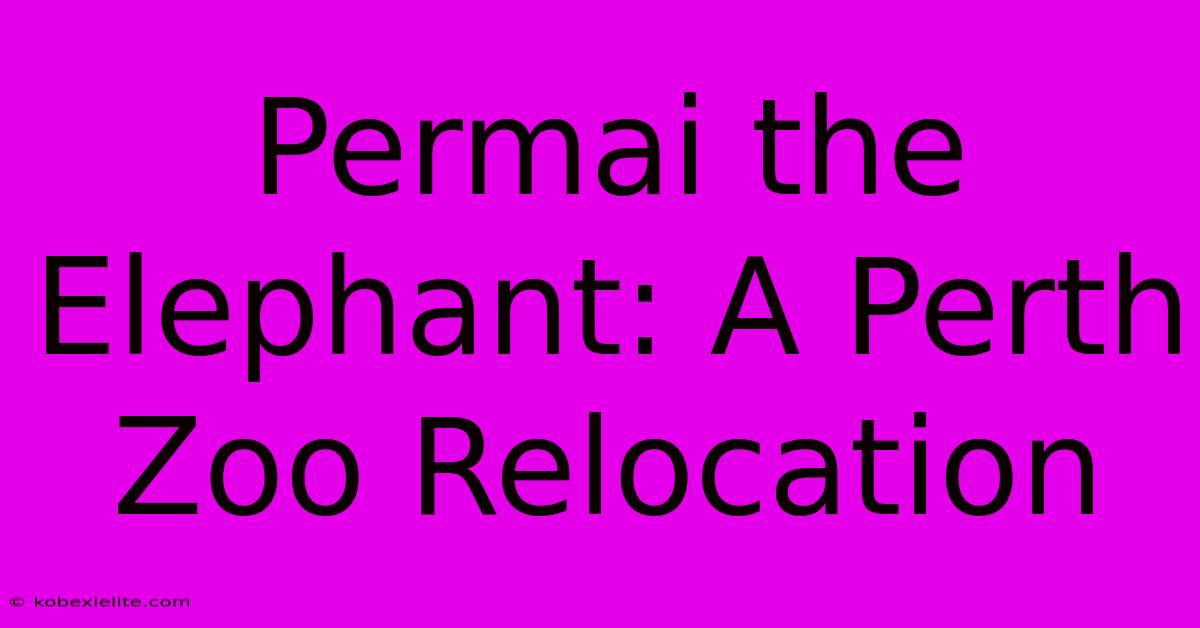 Permai The Elephant: A Perth Zoo Relocation Permai The Elephant: A Perth Zoo Relocation
