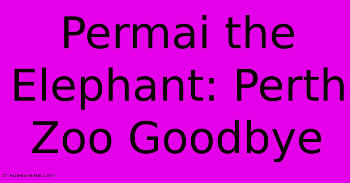 Permai The Elephant: Perth Zoo Goodbye Permai The Elephant: Perth Zoo Goodbye