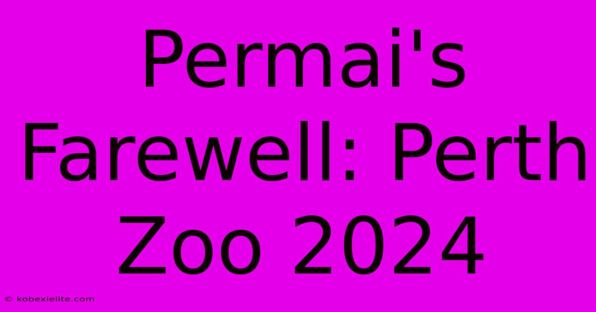 Permai's Farewell: Perth Zoo 2024 Permai's Farewell: Perth Zoo 2024