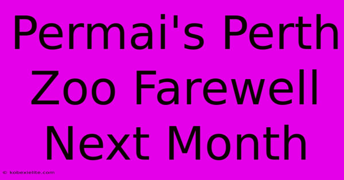 Permai's Perth Zoo Farewell Next Month Permai's Perth Zoo Farewell Next Month