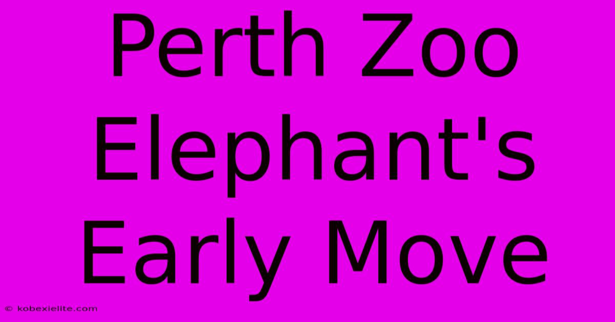 Perth Zoo Elephant's Early Move Perth Zoo Elephant's Early Move