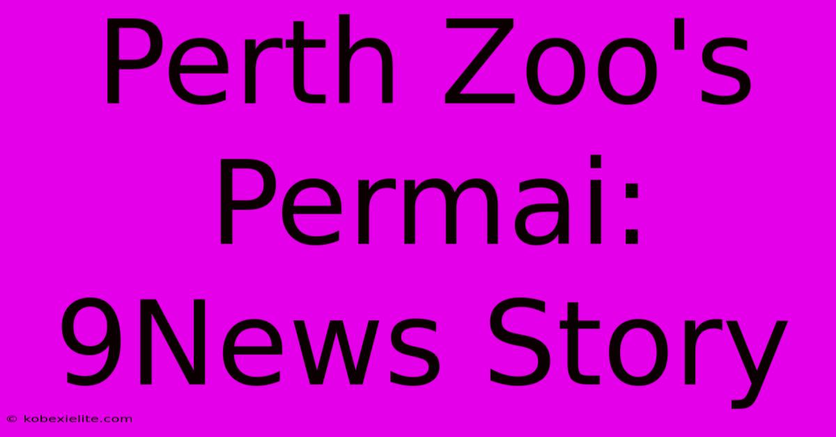 Perth Zoo's Permai: 9News Story Perth Zoo's Permai: 9News Story