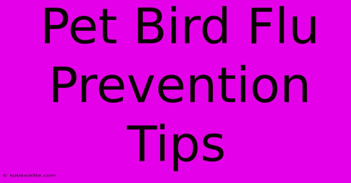 Pet Bird Flu Prevention Tips