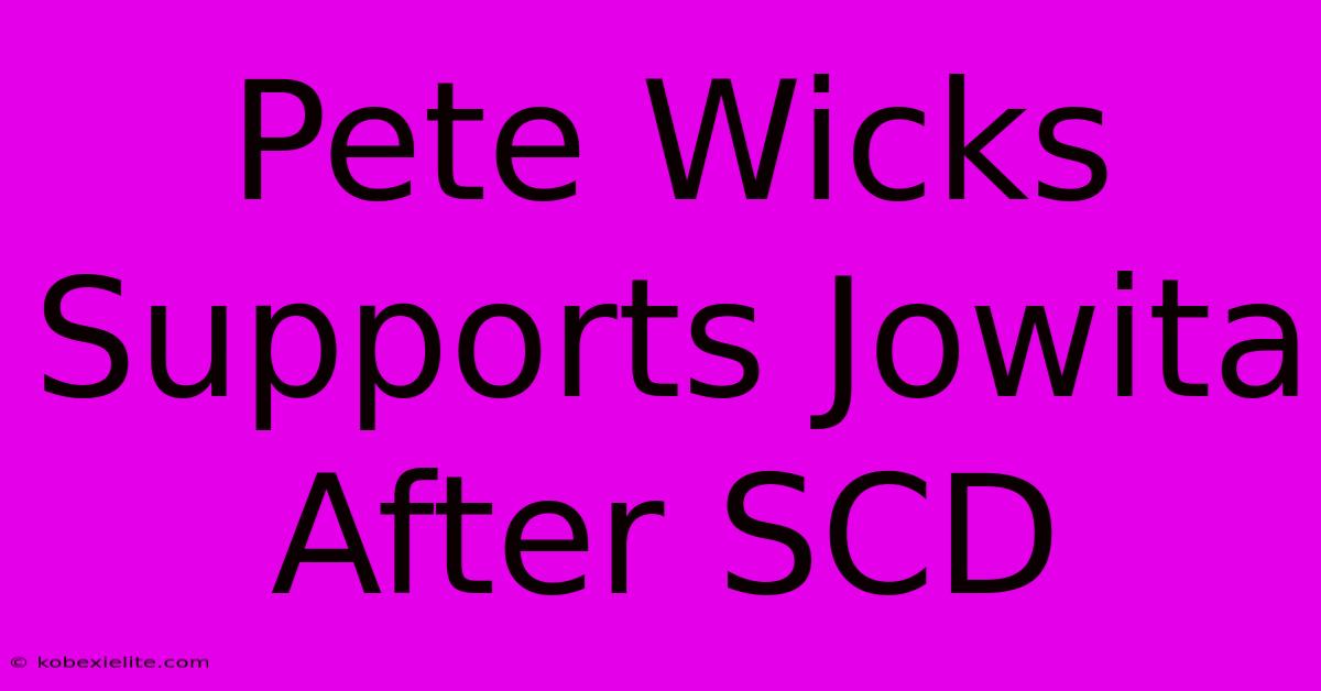 Pete Wicks Supports Jowita After SCD