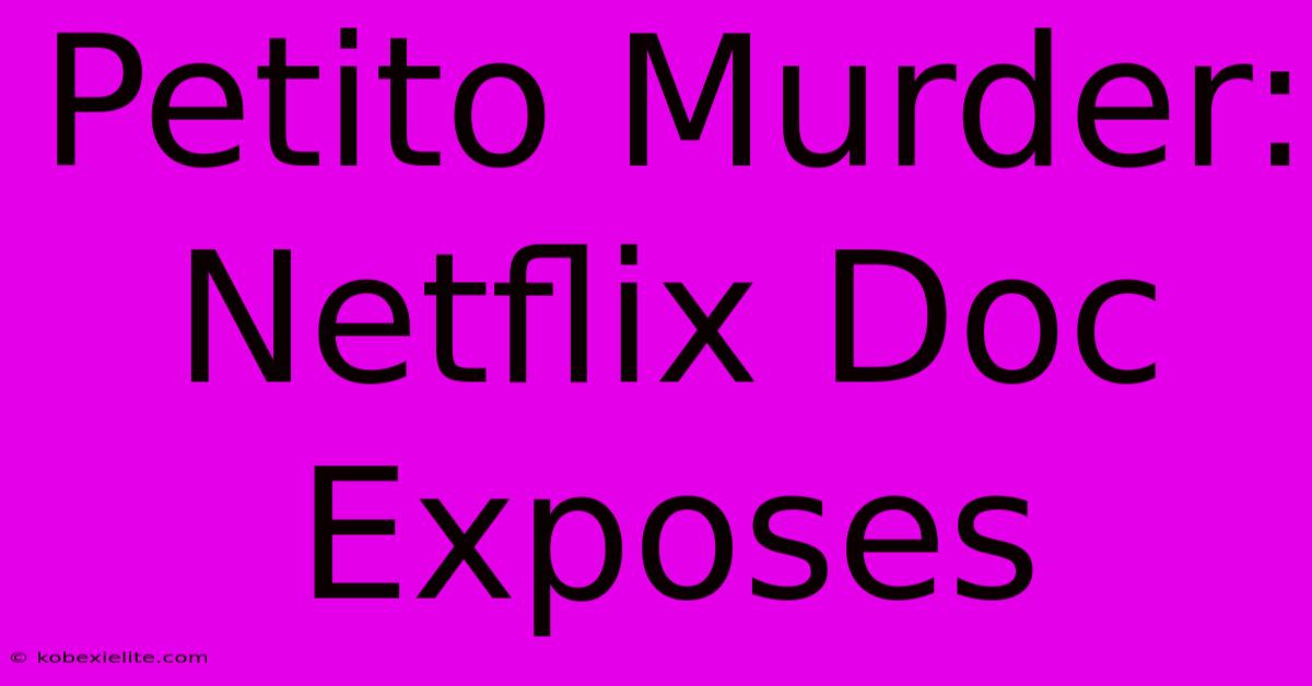 Petito Murder: Netflix Doc Exposes