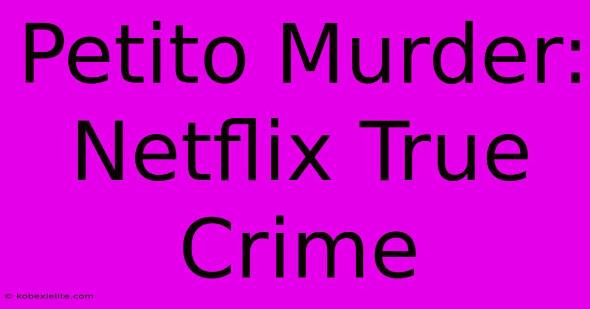 Petito Murder: Netflix True Crime