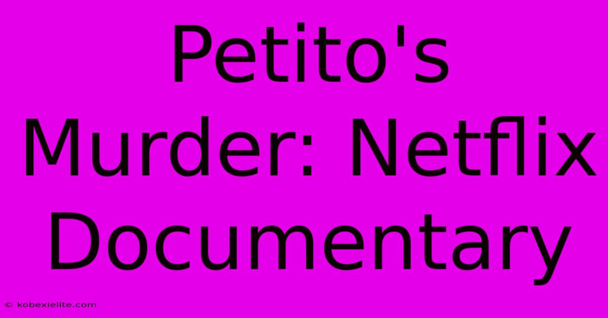 Petito's Murder: Netflix Documentary