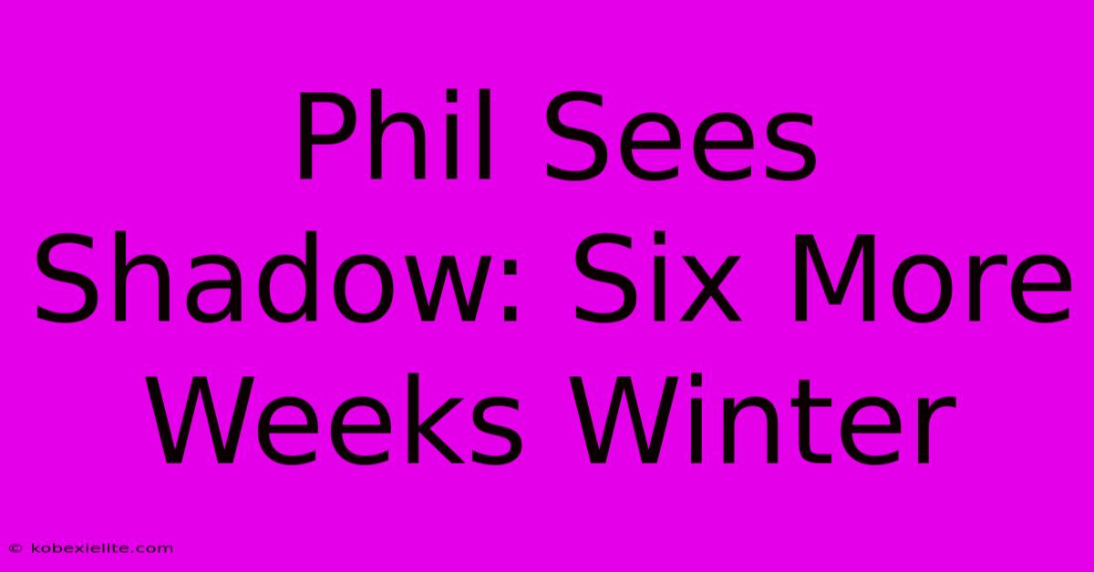 Phil Sees Shadow: Six More Weeks Winter