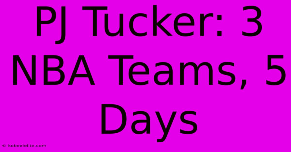 PJ Tucker: 3 NBA Teams, 5 Days