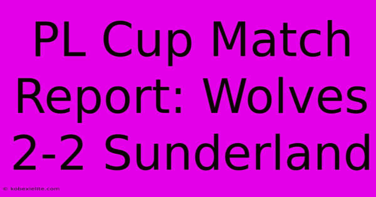 PL Cup Match Report: Wolves 2-2 Sunderland