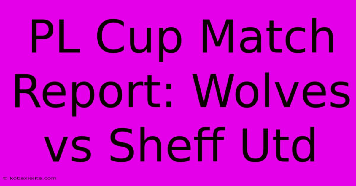 PL Cup Match Report: Wolves Vs Sheff Utd