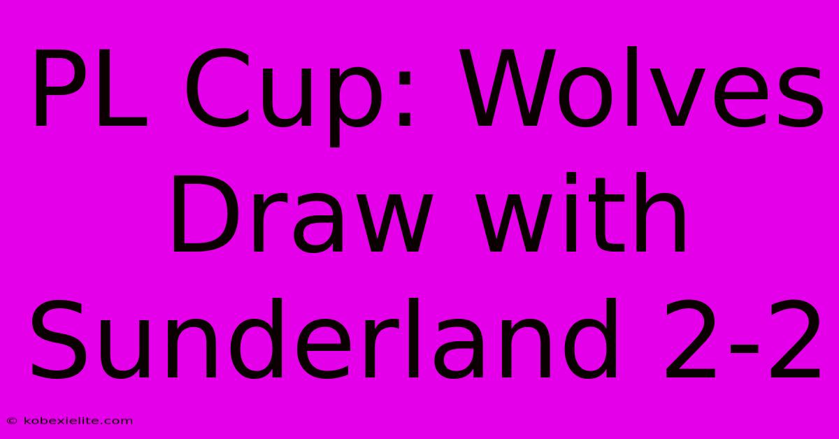 PL Cup: Wolves Draw With Sunderland 2-2