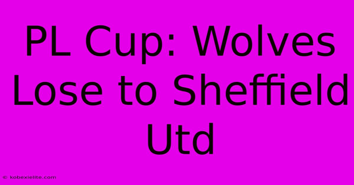 PL Cup: Wolves Lose To Sheffield Utd