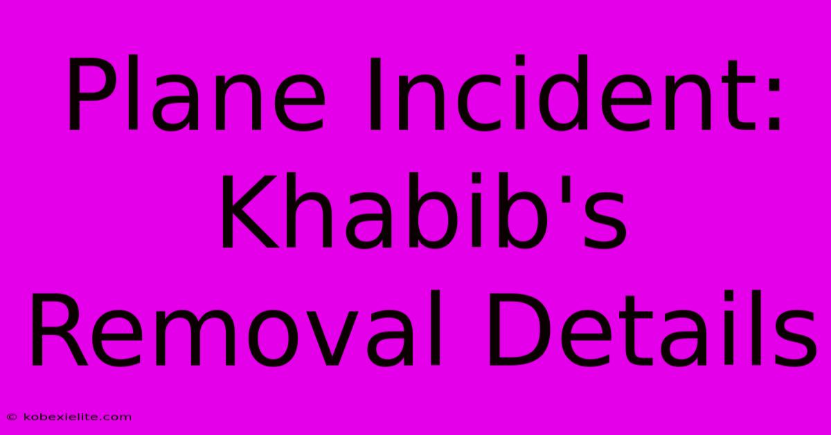 Plane Incident: Khabib's Removal Details