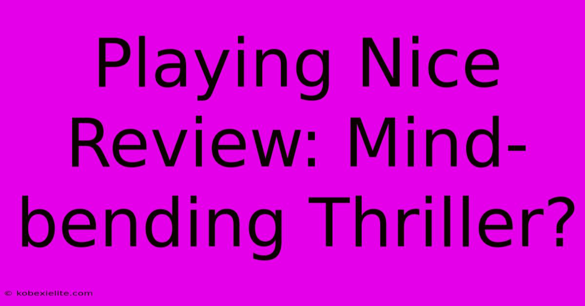 Playing Nice Review: Mind-bending Thriller?