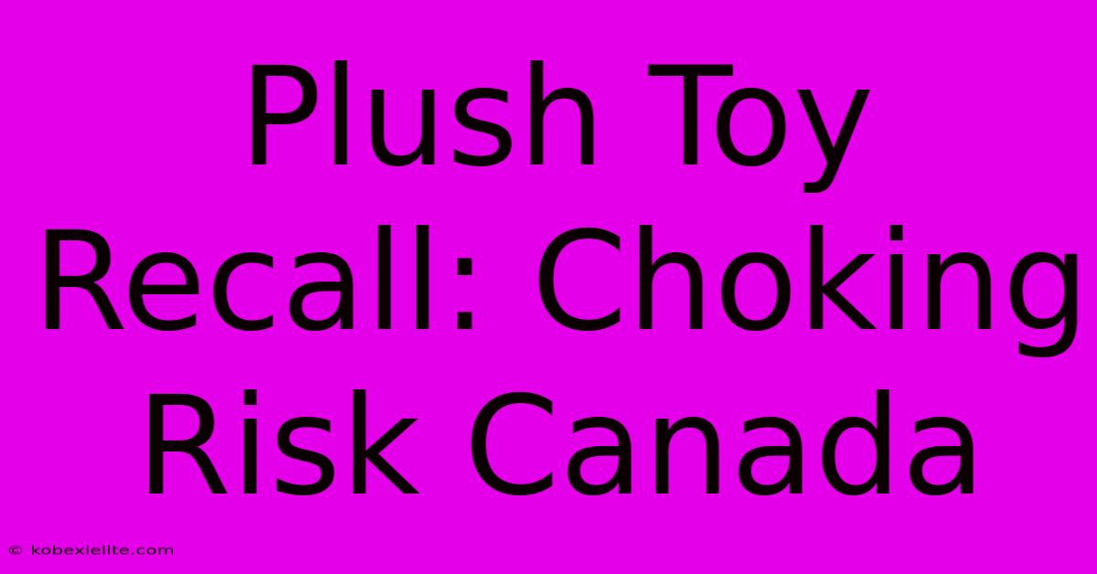 Plush Toy Recall: Choking Risk Canada