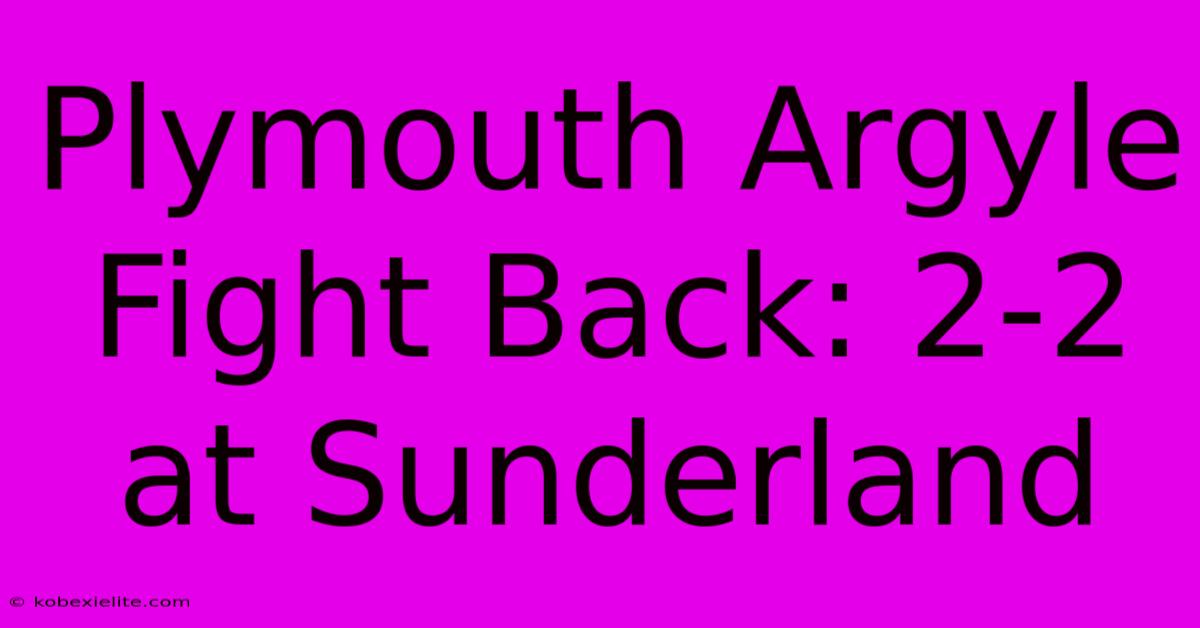 Plymouth Argyle Fight Back: 2-2 At Sunderland