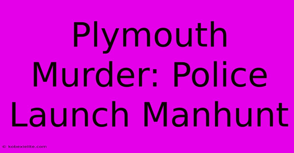 Plymouth Murder: Police Launch Manhunt