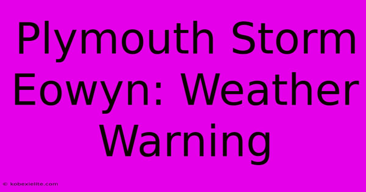 Plymouth Storm Eowyn: Weather Warning