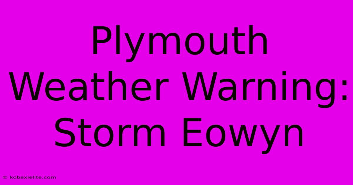 Plymouth Weather Warning: Storm Eowyn