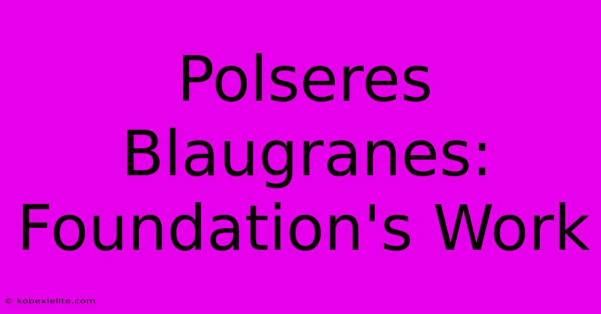 Polseres Blaugranes:  Foundation's Work