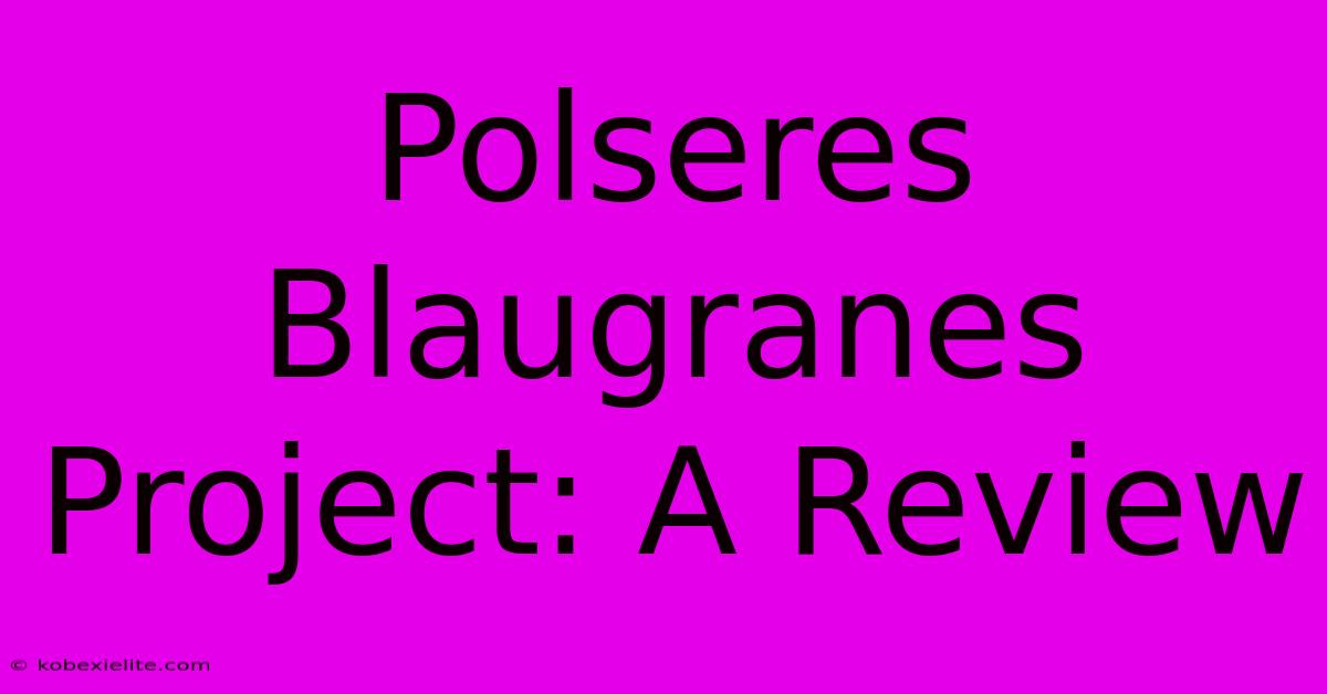 Polseres Blaugranes Project: A Review