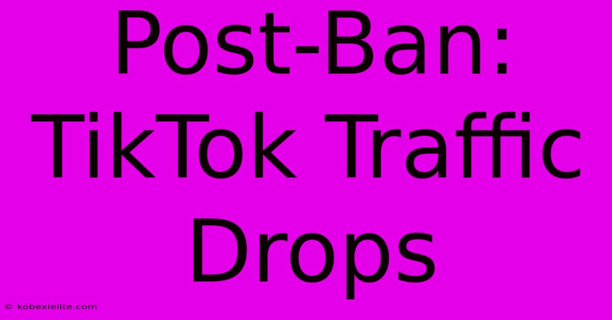 Post-Ban: TikTok Traffic Drops