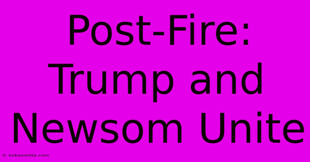 Post-Fire: Trump And Newsom Unite