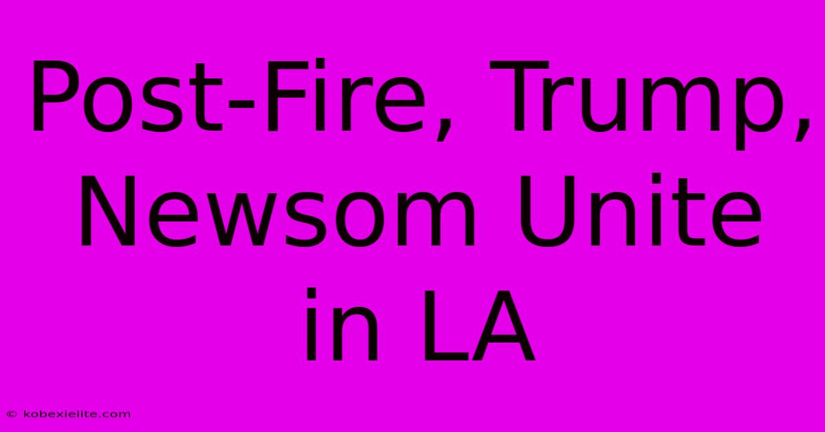 Post-Fire, Trump, Newsom Unite In LA