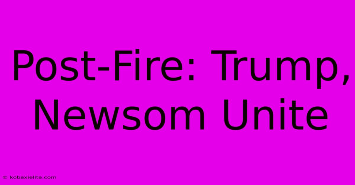 Post-Fire: Trump, Newsom Unite