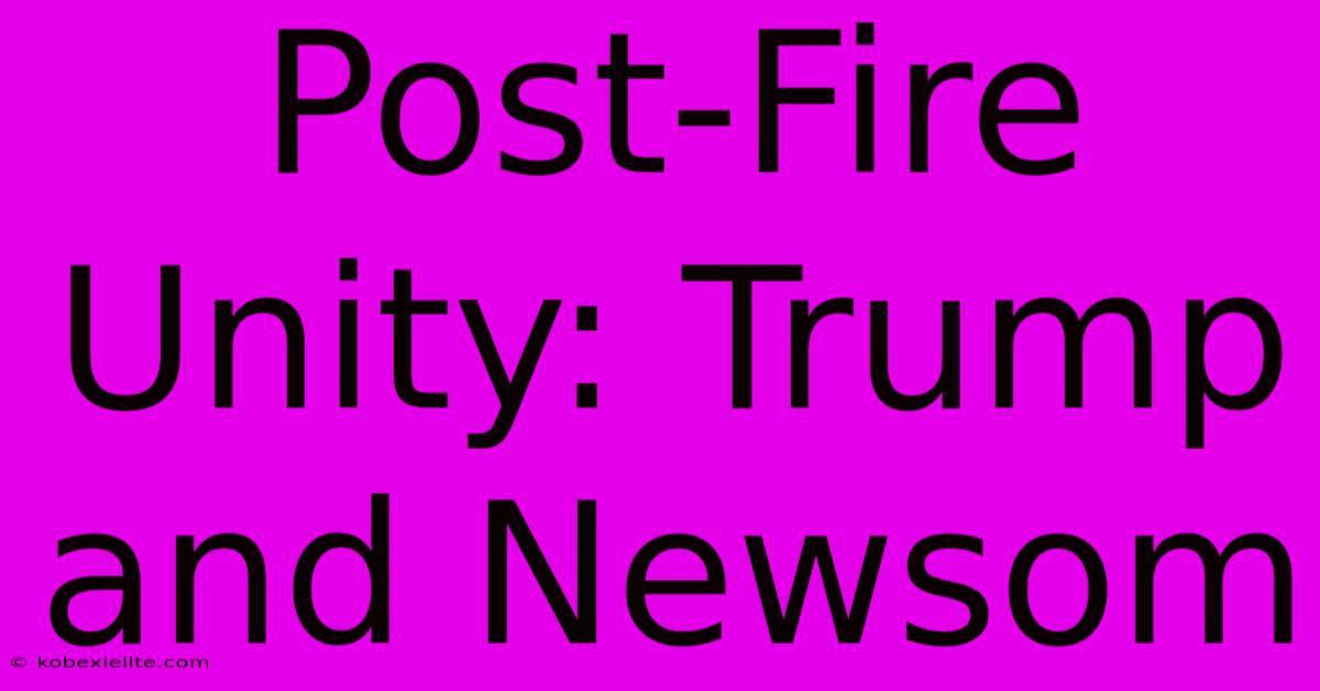 Post-Fire Unity: Trump And Newsom