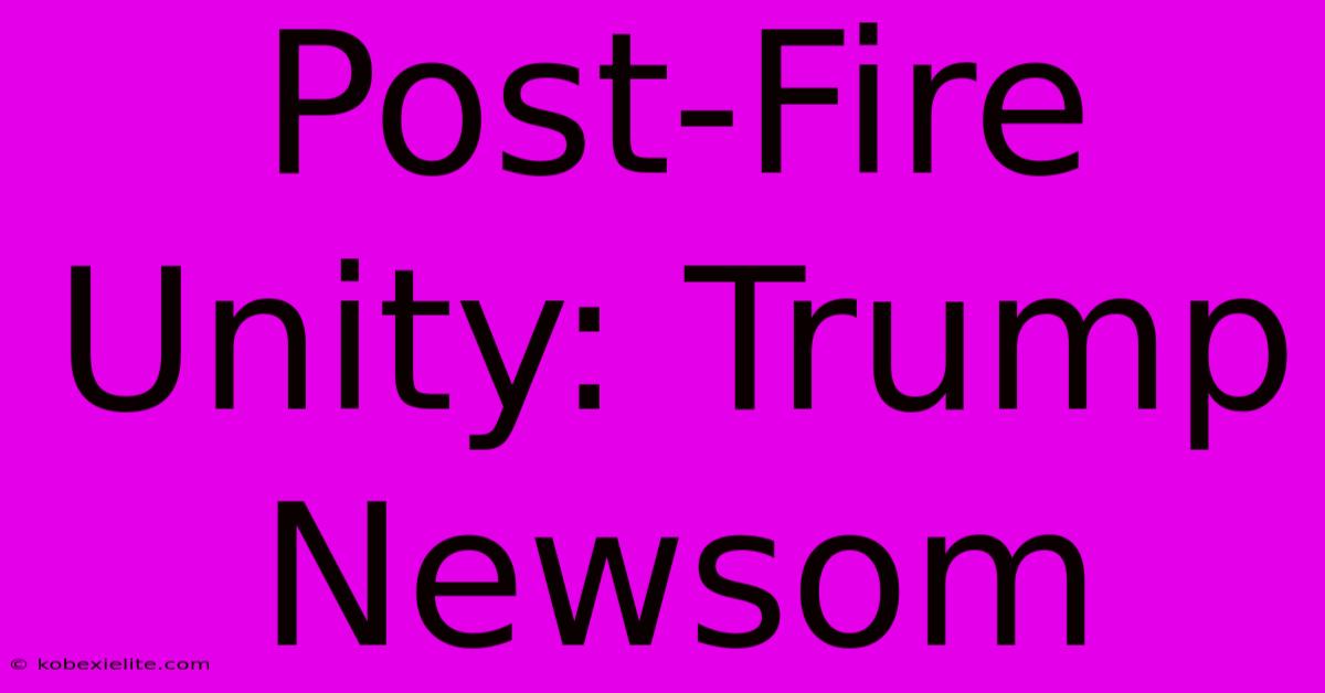 Post-Fire Unity: Trump Newsom