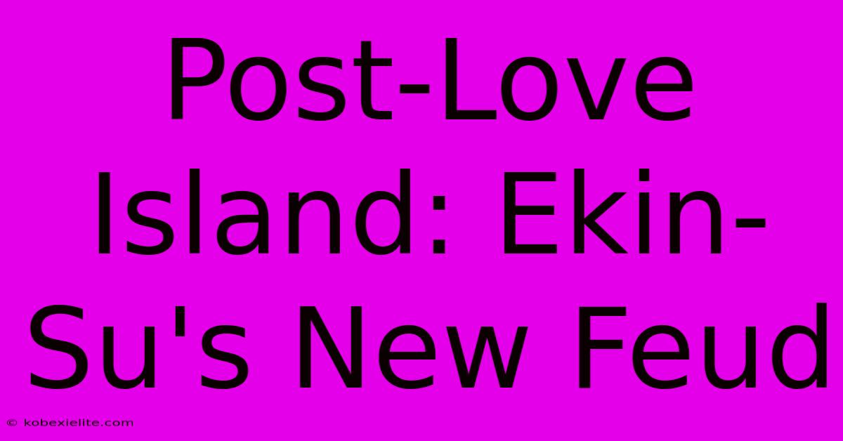 Post-Love Island: Ekin-Su's New Feud