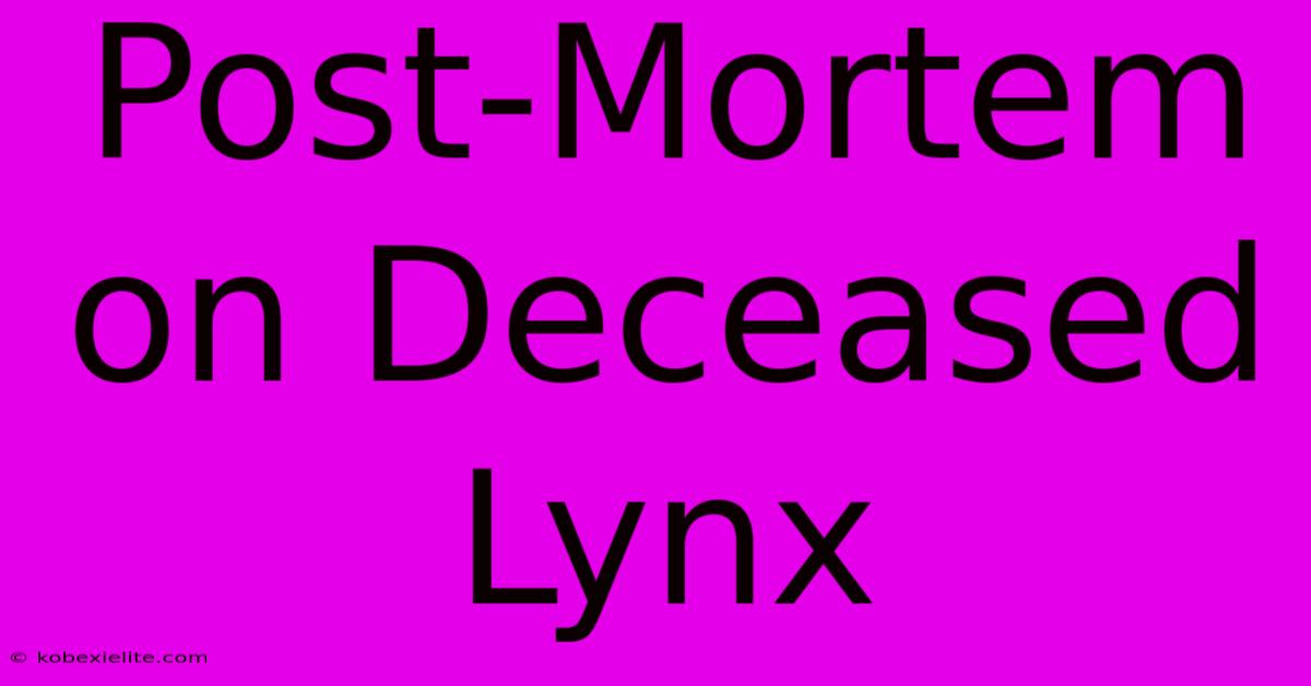 Post-Mortem On Deceased Lynx