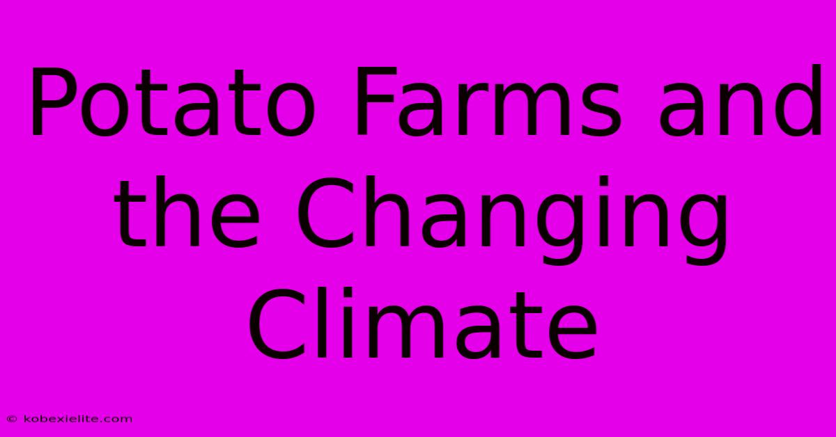 Potato Farms And The Changing Climate