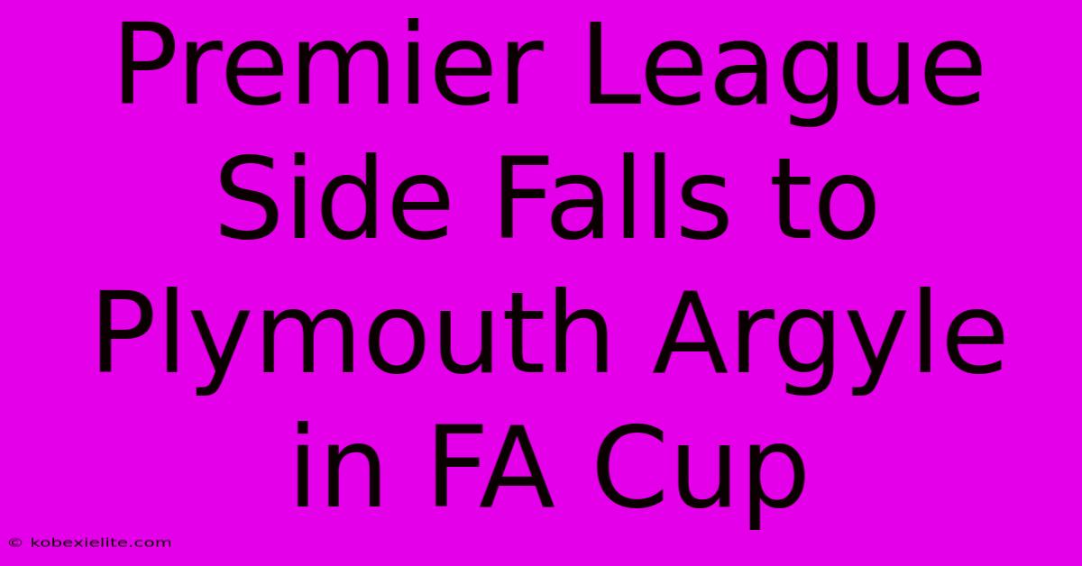 Premier League Side Falls To Plymouth Argyle In FA Cup