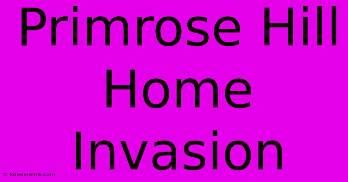 Primrose Hill Home Invasion