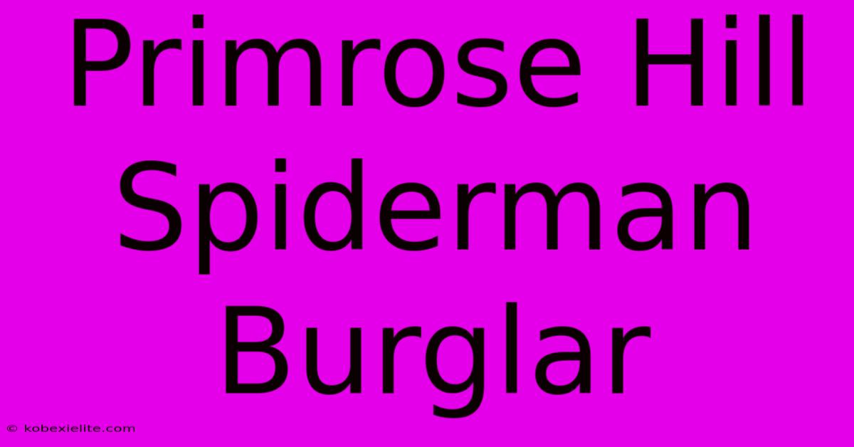 Primrose Hill Spiderman Burglar