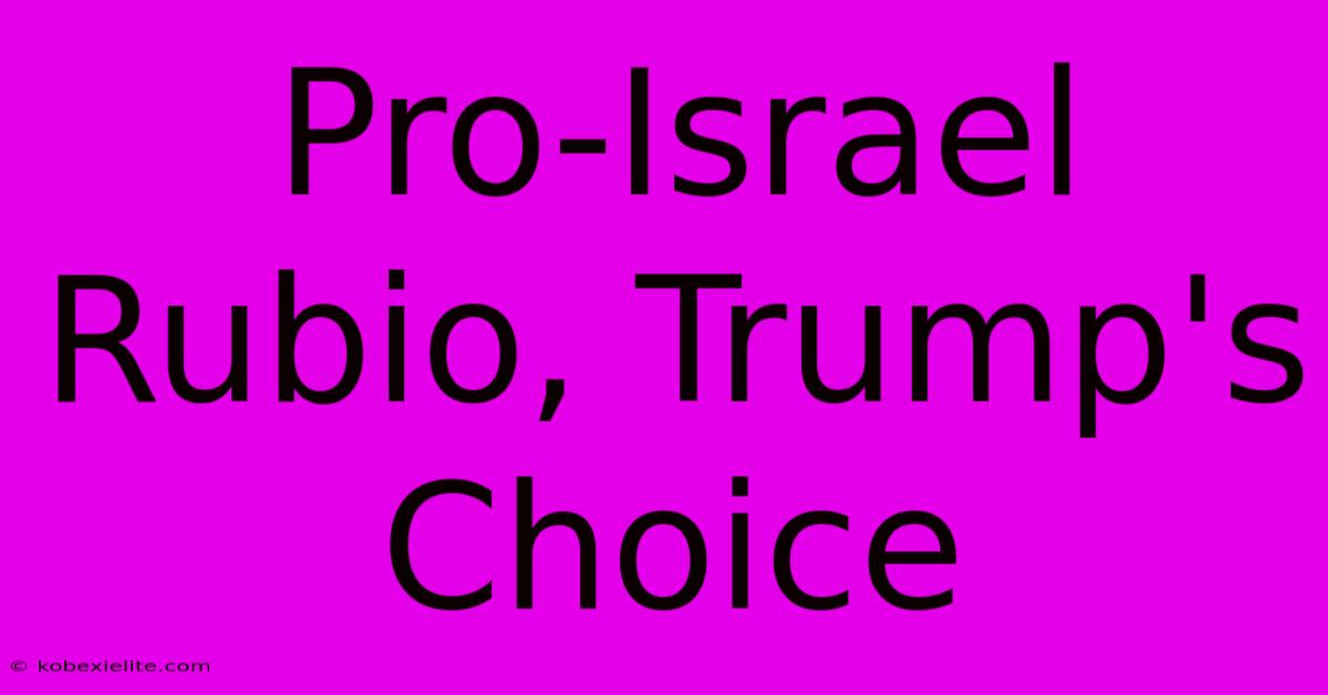 Pro-Israel Rubio, Trump's Choice