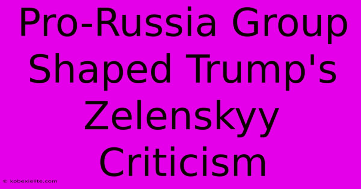 Pro-Russia Group Shaped Trump's Zelenskyy Criticism