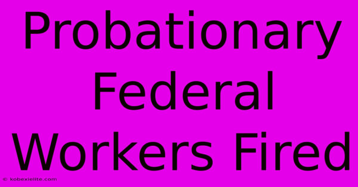 Probationary Federal Workers Fired