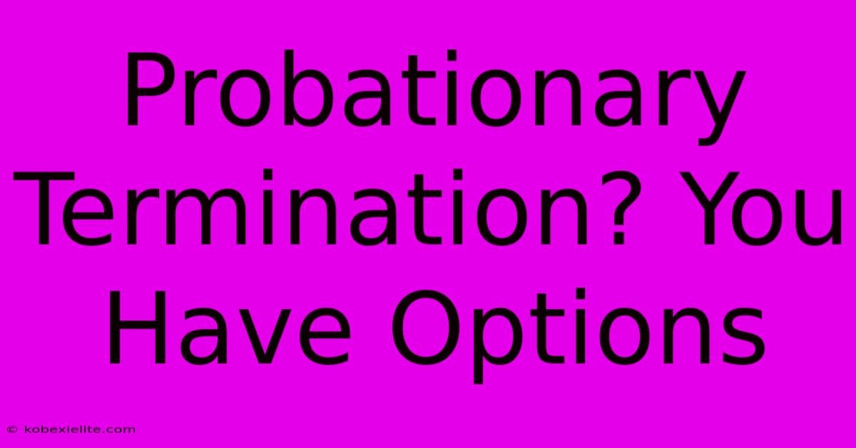 Probationary Termination? You Have Options